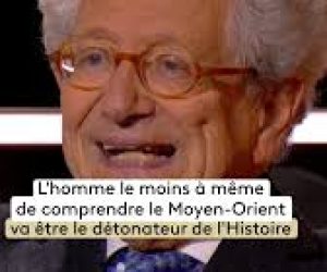 Les désinformateurs, Société à Responsabilité très, très Limitée  –  2ème volet (Dominique Moïsi)