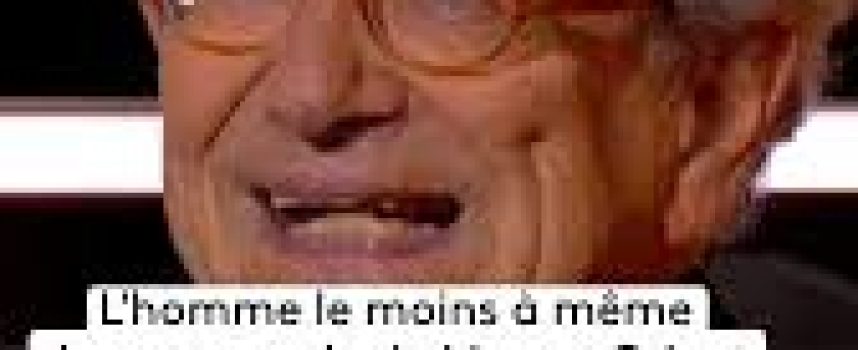 Les désinformateurs, Société à Responsabilité très, très Limitée  –  2ème volet (Dominique Moïsi)